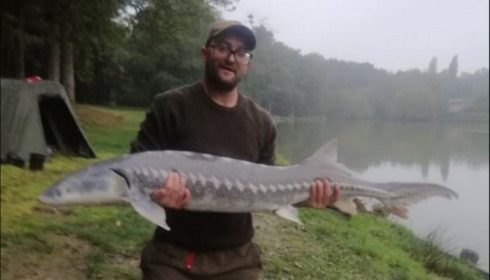 A sturgeon from Cailleaux, Sep 2019