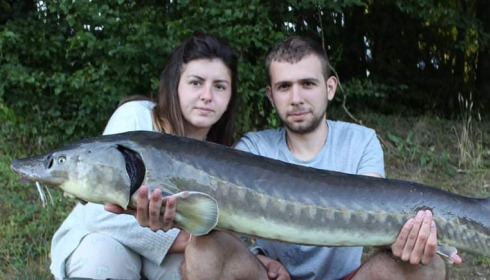 A carp from Cailleaux, Aug 2021