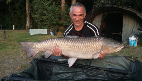 A grass carp from Cailleaux, Aug 2019