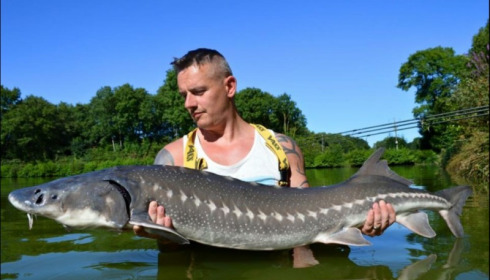 A sturgeon from Cailleaux, Aug 2019