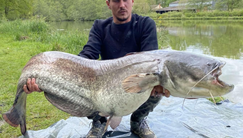 A catfish from Cailleaux, a, May 2021