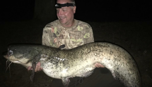 A carp from Cailleaux, Craig Lawson, Sep 2022