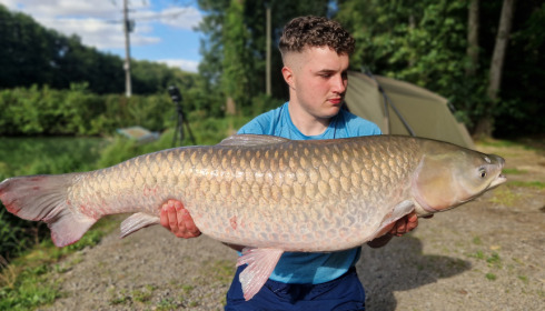 A fish from Cailleaux, Grassy, Aug 2023