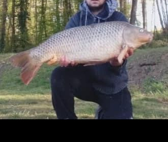 A carp from Cailleaux, a, May 2021