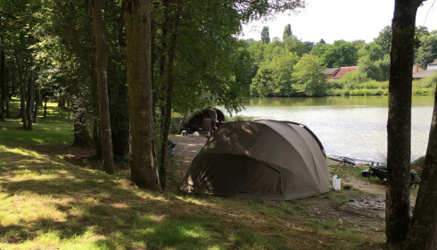 A carp from Cailleaux, Craig Lawson, Sep 2022