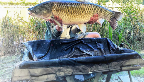 A fish from Cailleaux, Jul 2022