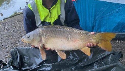 A carp from Cailleaux, A, May 2021