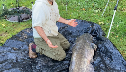 A catfish from Cailleaux, Mark, Oct 2021