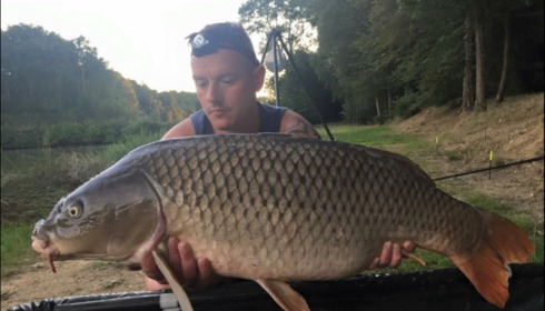 A catfish from Cailleaux, Aug 2019