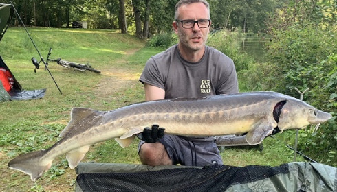A sturgeon from Cailleaux, Oct 2021