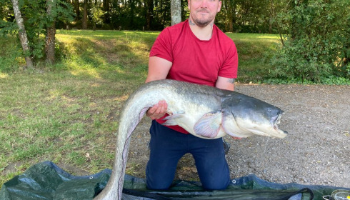 A catfish from Cailleaux, adam, Aug 2021