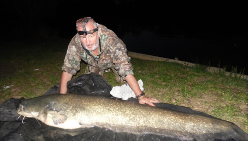A catfish from Cailleaux, Aug 2018