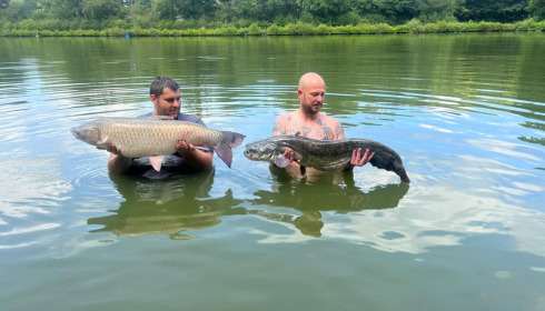 A grass carp from Cailleaux, Jun 2022