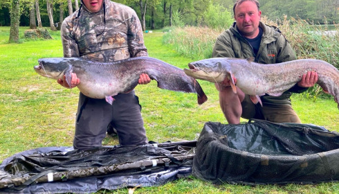 A 45 lb fish from Cailleaux, Double cats, Apr 2022