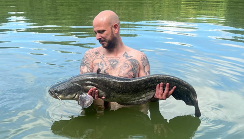 A catfish from Cailleaux, Jun 2022