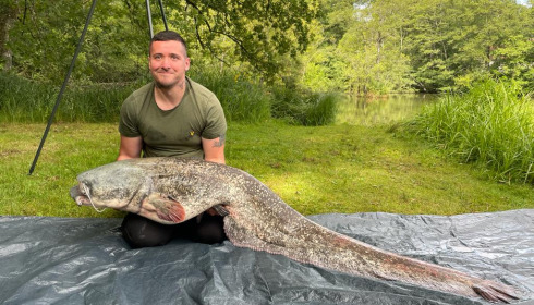 A catfish from Cailleaux, adam, Aug 2021