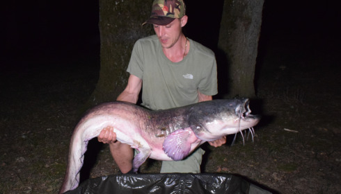 A fish from Cailleaux, Aug 2023