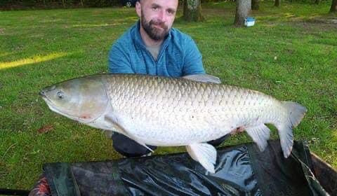 A grass carp from Cailleaux, maurice, Jun 2021