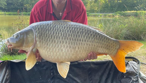 A 31 lb carp from Cailleaux, adam, Aug 2021