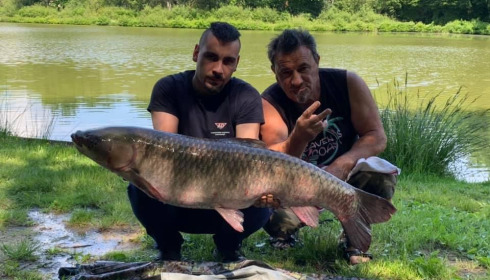 A grass carp from Cailleaux, beaur, Jun 2021