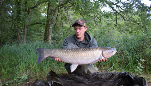 A fish from Cailleaux, Aug 2023