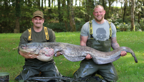 A fish from Cailleaux, Catfish, Oct 2022
