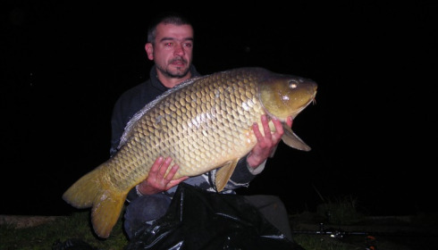 A carp from Cailleaux, Aug 2019