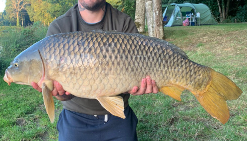 A 24 lb carp from Cailleaux, adam, Aug 2021