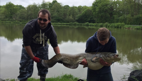 A catfish from Cailleaux, Aug 2019