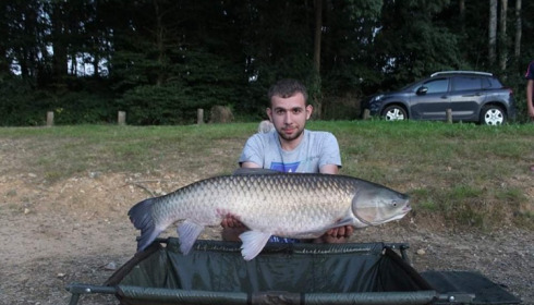 A carp from Cailleaux, Aug 2021