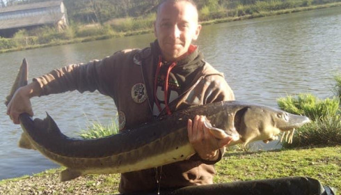 A sturgeon from Cailleaux, a, May 2021
