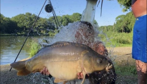 A carp from Cailleaux, Sep 2019