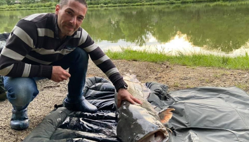 A catfish from Cailleaux, May 2021