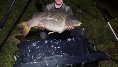 A carp from Cailleaux, a, May 2021