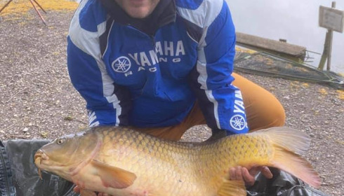 A carp from Cailleaux, a, May 2021