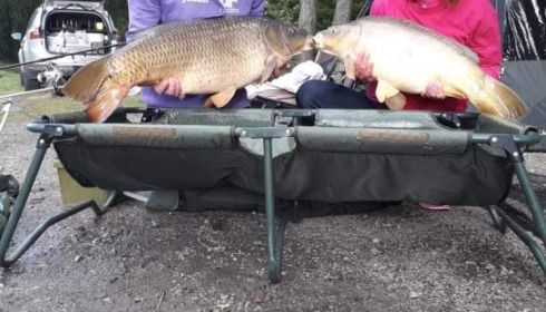 A carp from Cailleaux, a, May 2021