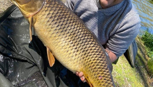 A carp from Cailleaux, a, May 2021