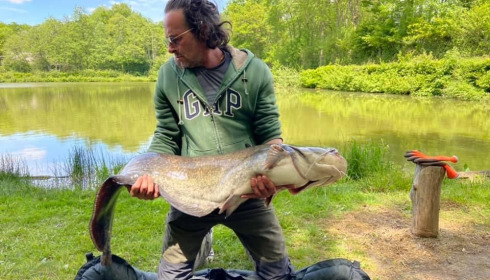 A catfish from Cailleaux, May 2021
