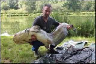 A catfish from Cailleaux, Aug 2019
