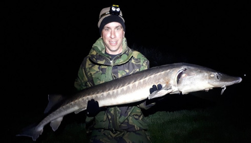 A carp from Cailleaux, Oct 2021