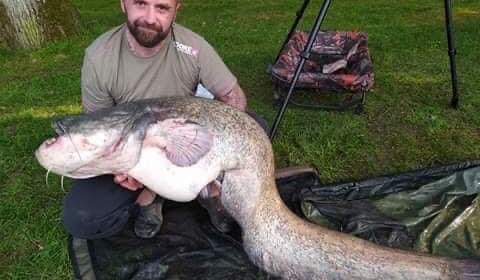 A catfish from Cailleaux, Jun 2021