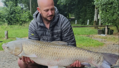 A grass carp from Cailleaux, Jun 2022