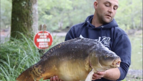 A carp from Cailleaux, Sep 2019