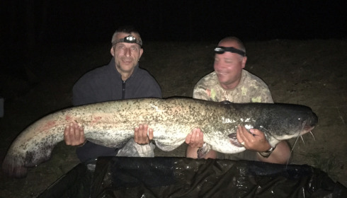 A carp from Cailleaux, Craig Lawson, Sep 2022