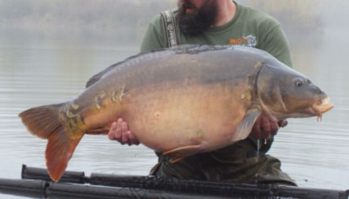 A 53 lb 9 oz fish from Deux Iles, Oct 2021