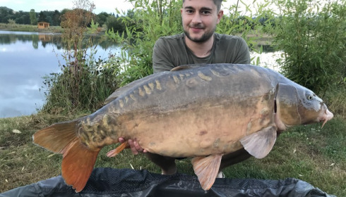 A 29 lb carp from Deux Iles, Tim Hicks, Jul 2017