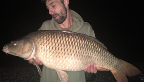 A carp from Deux Iles, Michael Monnier, Sep 2018