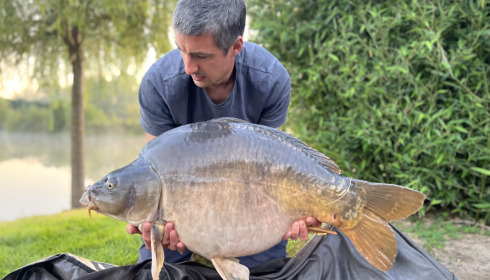 A fish from Deux Iles, Aug 2023
