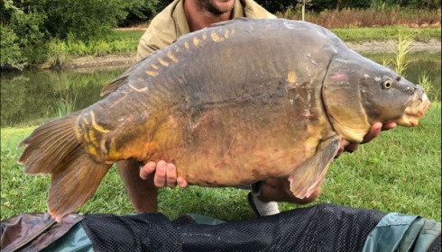 A 44 lb carp from Deux Iles, Shaun Ellis, Aug 2018