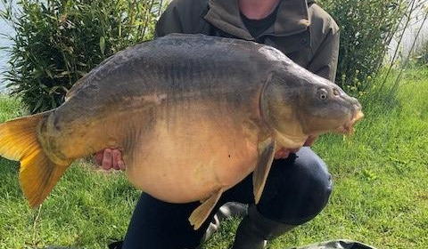A 43 lb 5 oz carp from Deux Iles, Bradley Coombes, May 2018